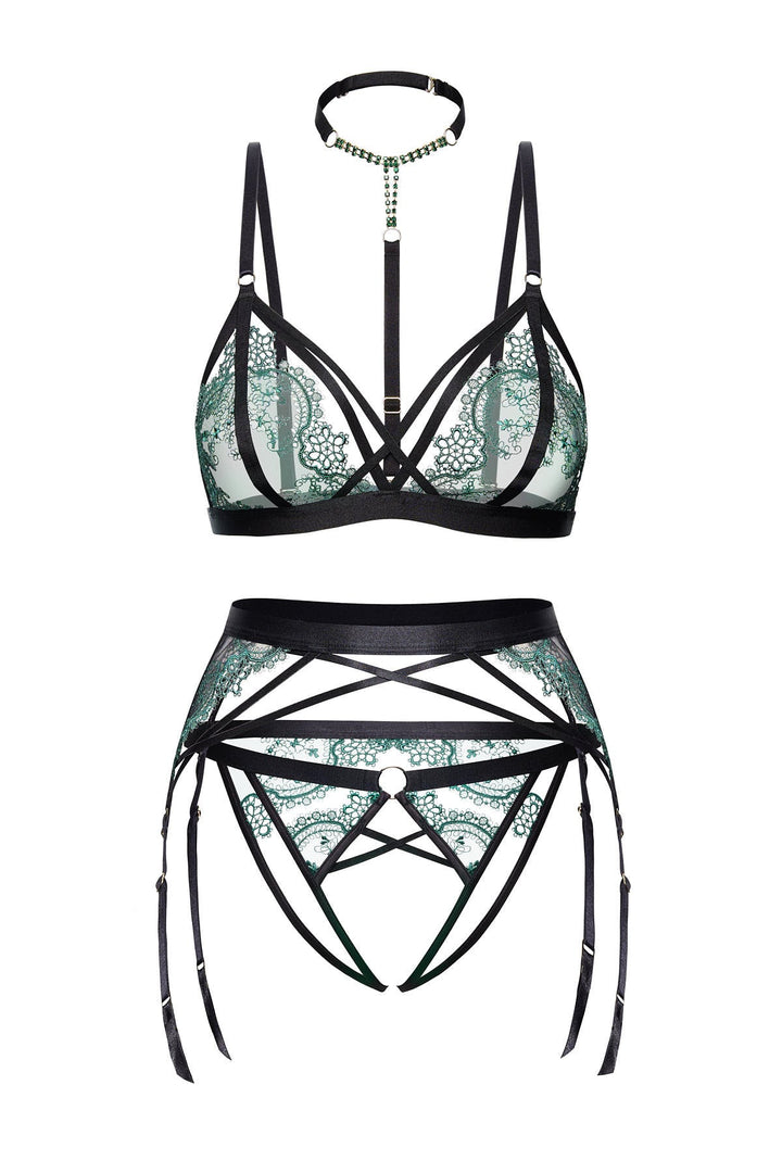 Psyche Embroidered Ouvert Panty