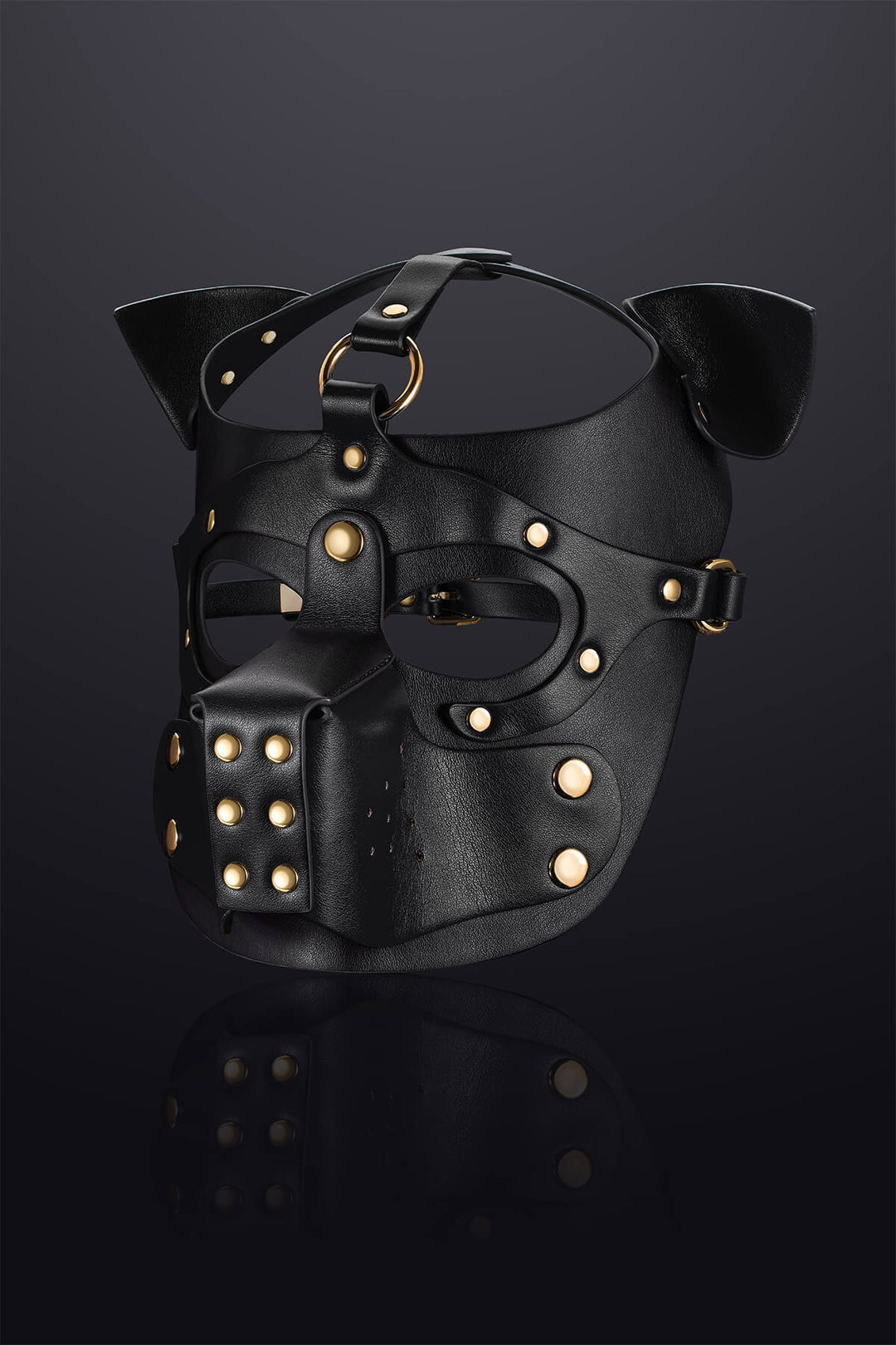 Vortex Leather Bondage Puppy Hood Black